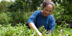 a woman working in a garden