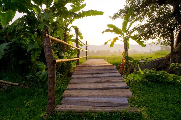 a wooden bridge with a railing in the middle of a field