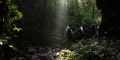 a group of people hiking in the woods