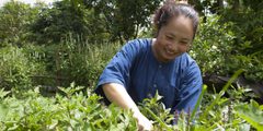 a woman working in a garden