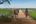 Woman walking down a rural path Cambodia