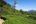 people walking on a green hill