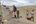Hikers in the Ladakh region India