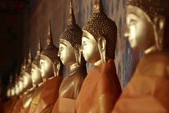a row of statues of buddhas