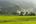 a green field with trees and mountains in the background