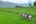 a group of people standing in a field