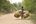 a boy riding a bicycle with baskets on it