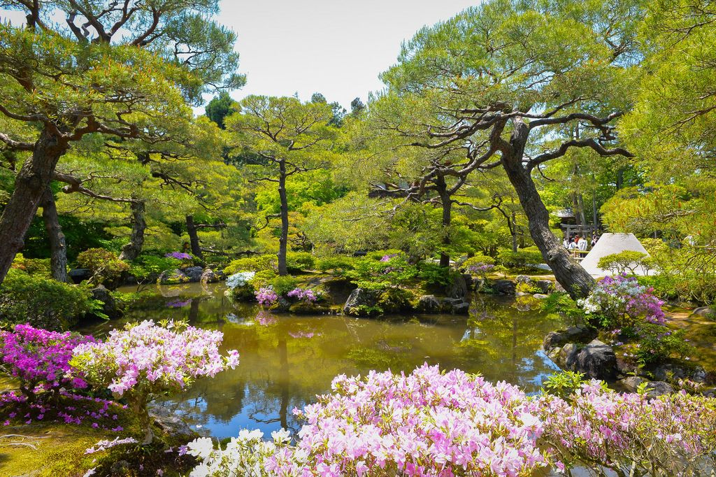 a pond with trees and flowers