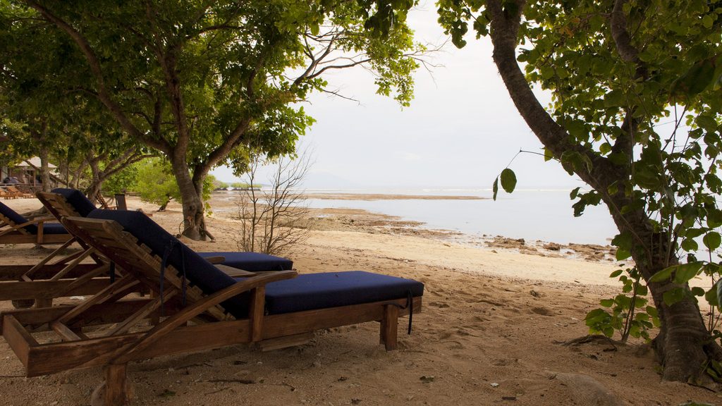 Loungers on the beach