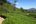 people walking on a green hill