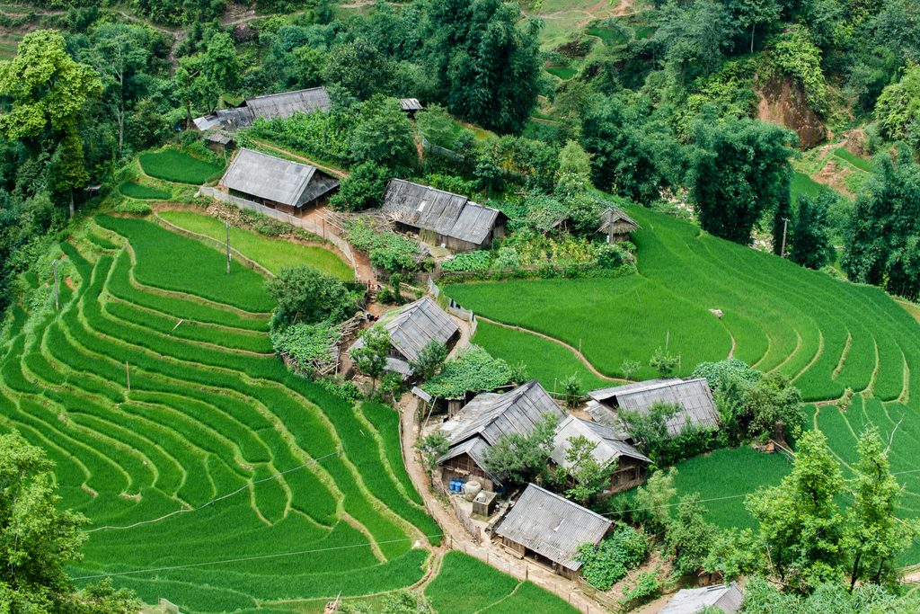 Sapa