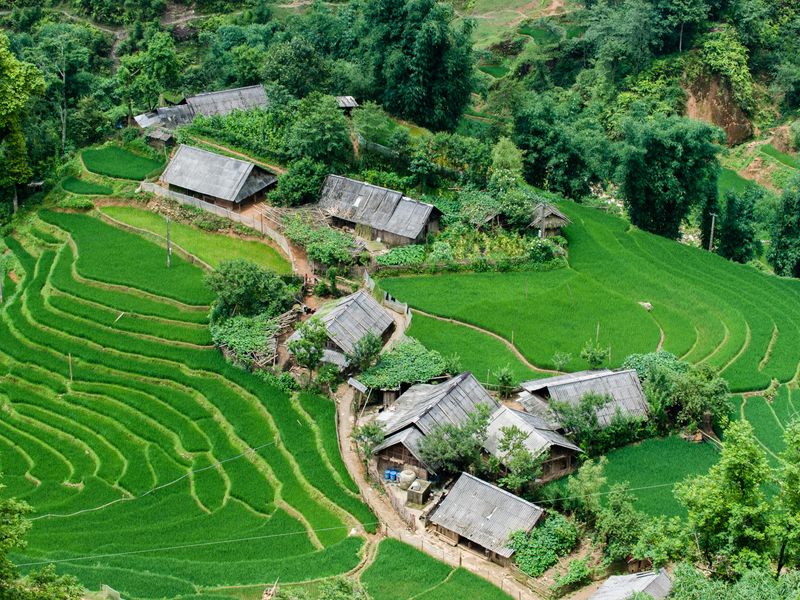 Sapa
