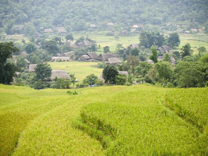 Vietnam
