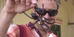 a man holding a large spider
