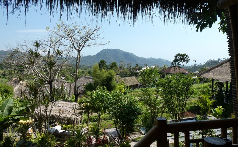 Room with a view