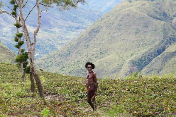 West Papua