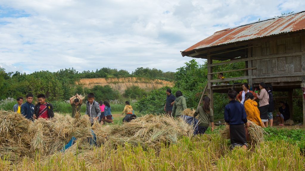 Farming in Laos