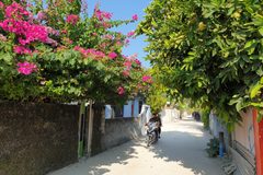 a person riding a motorcycle on a road with trees and flowers