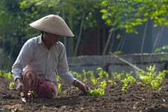 a man in a hat working in the dirt