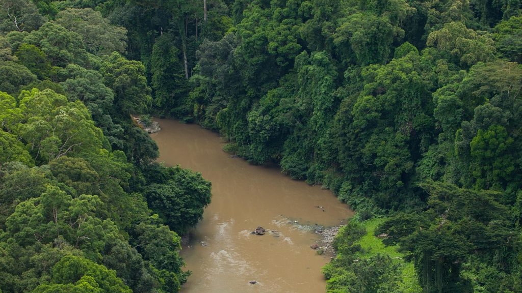 Kinabatangan river