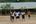 a group of people playing volleyball