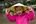 a young girl wearing a conical hat