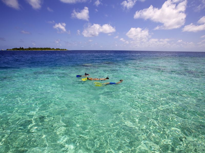 Family snorkeling