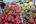 a pile of fruit in a market