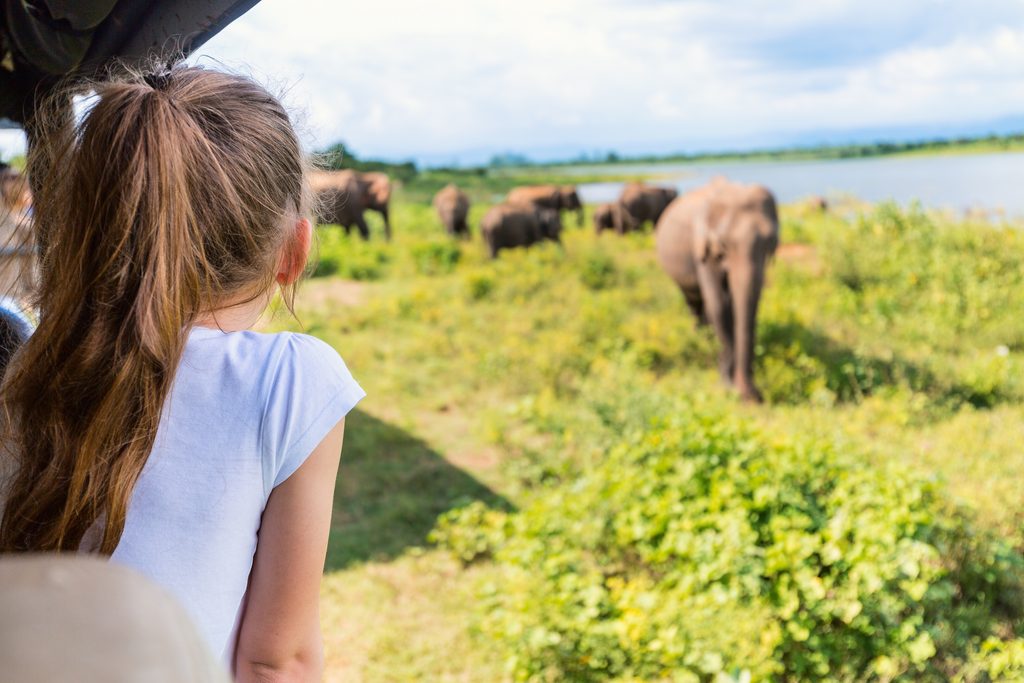 Girl looking at elephant on safari
