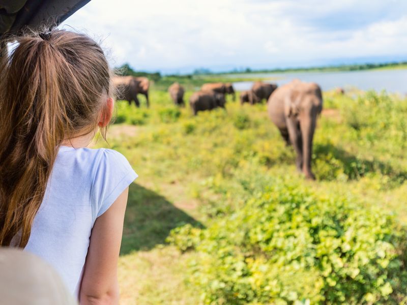 Girl looking at elephant on safari