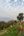 village homestay, Nepal