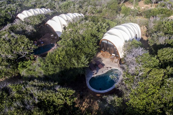 Cocoon accommodation
