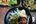 a group of plates of food
