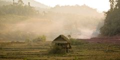 a hut in a field