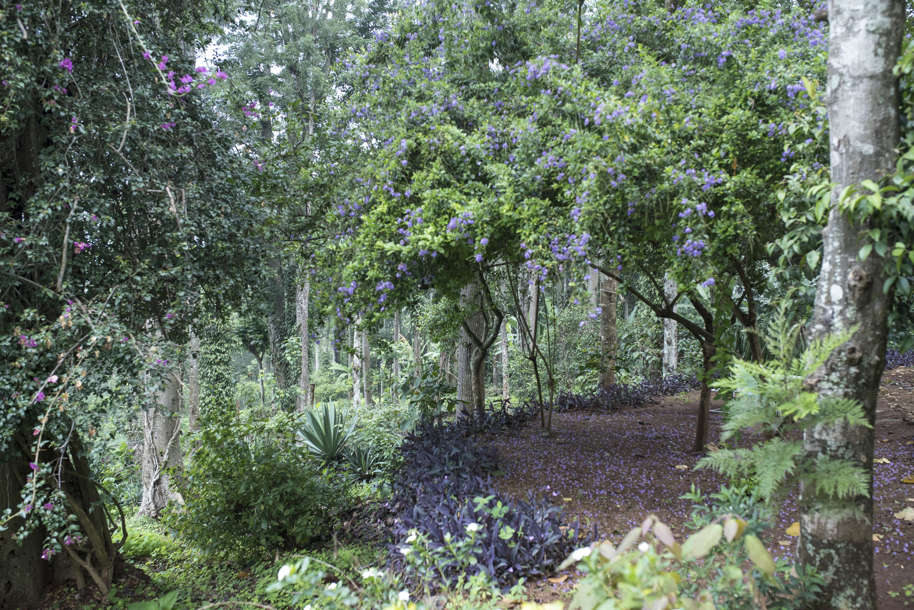 Explore the estate's gardens