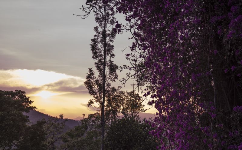 Enjoy stunning views