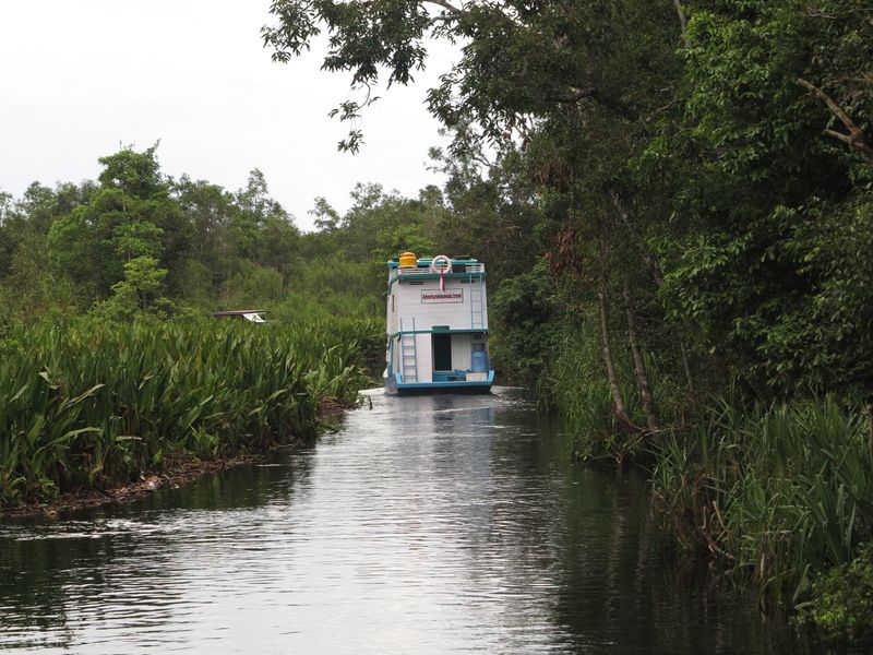 Tanjung