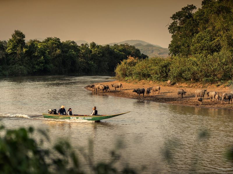 Anantara Golden Triangle Elephant Camp