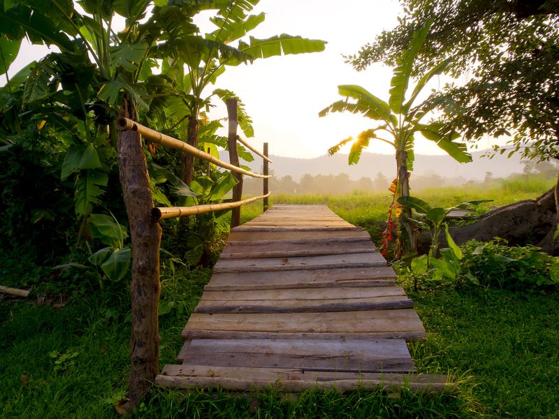 Rural Thailand