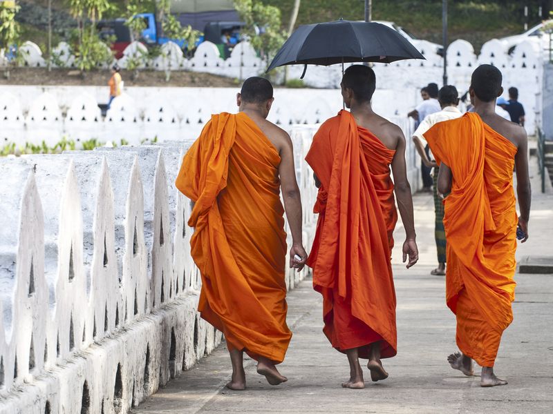 Monks in orange robes in Kandy