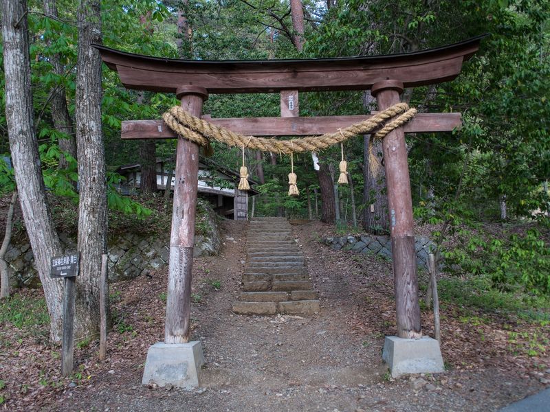 Japan tori