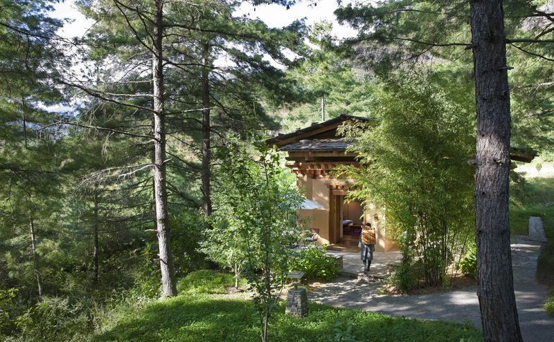 Villas tucked amongst the trees