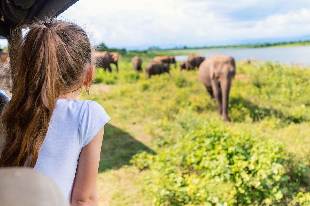 Elephants safari Sri Lanka family holidays to Asia