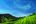 a green hills with trees and blue sky