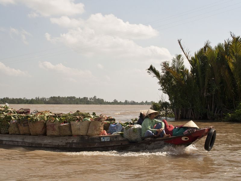 boat on the mekong delta