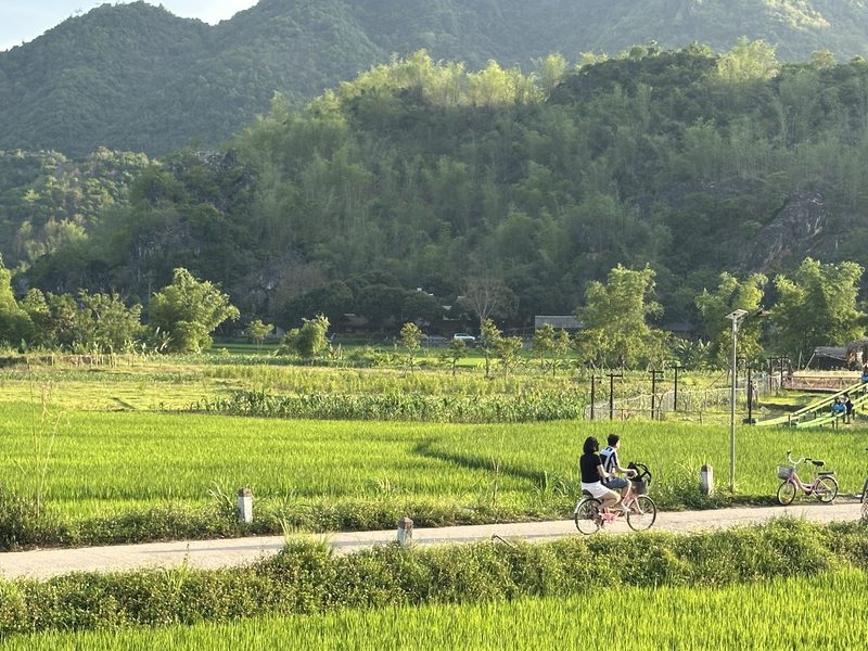 Bike riding through fields Vietnam