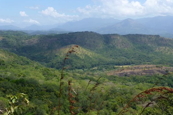 Rukgala Retreat