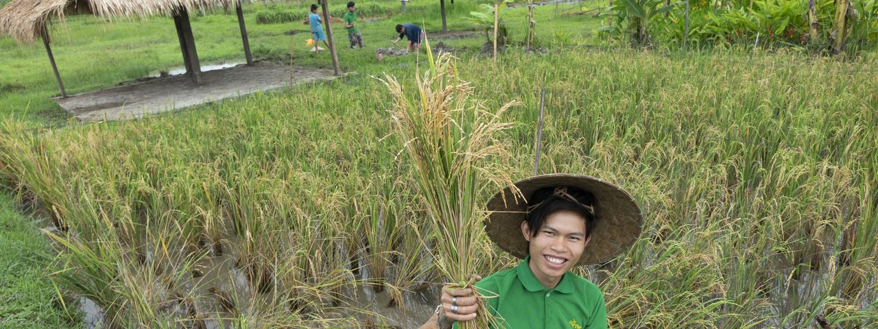 Living Lands