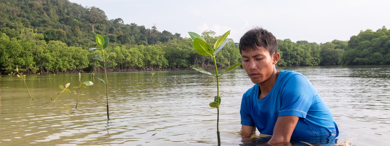 Man planting tree