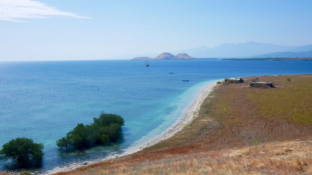 Spice islands Indonesia